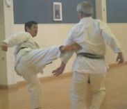 Don Mawashi Geri Against Ken